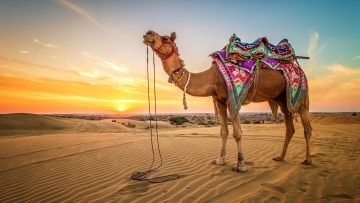  دانلود والپیپر با کیفیت 4k برای اندروید
