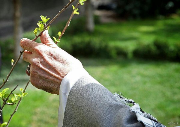 عکس رهبری در طبیعت