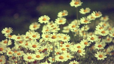 عکس با کیفیت بالا برای کامپیوتر
