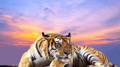  عکس با کیفیت بالا برای کامپیوتر