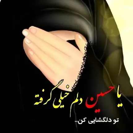  عکس کربلا با کیفیت