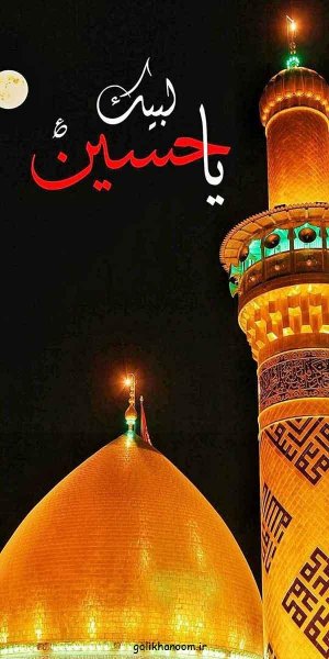  عکس بین الحرمین کربلا برای پروفایل واتساپ
