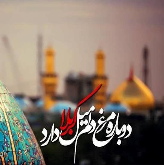  زیباترین عـکس کربلا برای پـروفایل