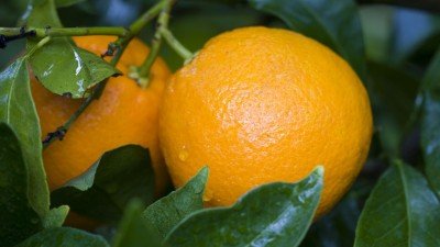  عکس با کیفیت بالا برای تصویر زمینه لپ تاپ