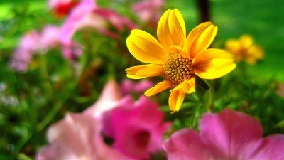  عکس با کیفیت بالا برای تصویر زمینه لپ تاپ