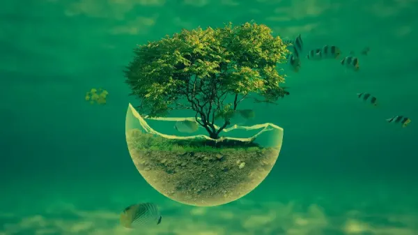  عکس با کیفیت بالا پس زمینه