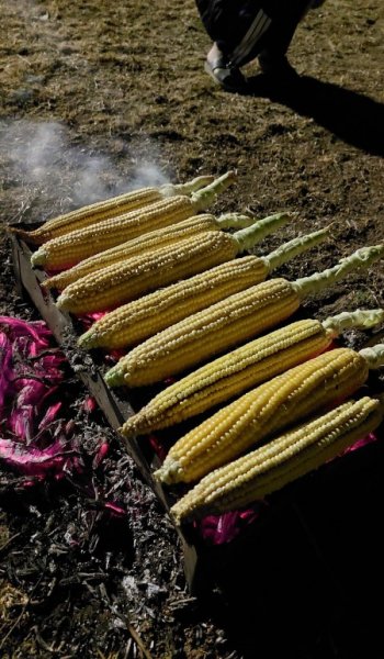  عکس فیک غذای دونفره