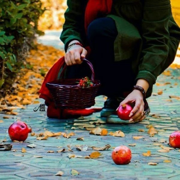  عکس شب یلدا دخترانه