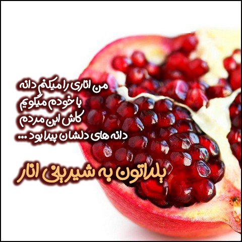  استوری شب یلدا واتساپ