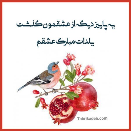  عکس شب یلدا مبارک همسر