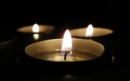  عکس شمع سفید
