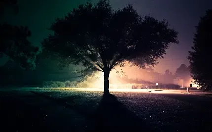  عکس یک مرد در تاریکی