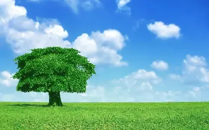  عکس یک مرد در تاریکی