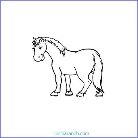  عکس های نقاشی اسب