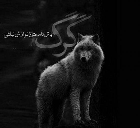  عکس های پسرانه شاخ
