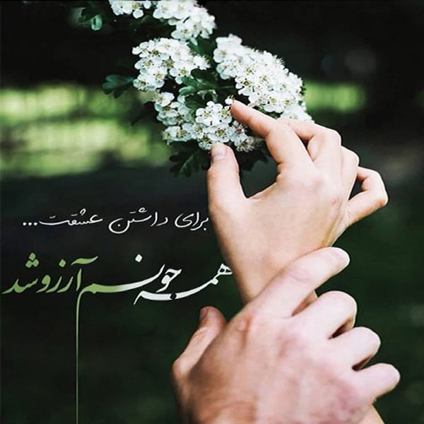  عکس پروفایل عاشقانه خاص و شیک