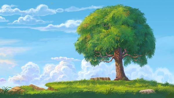 عکس درخت چنار در بهار