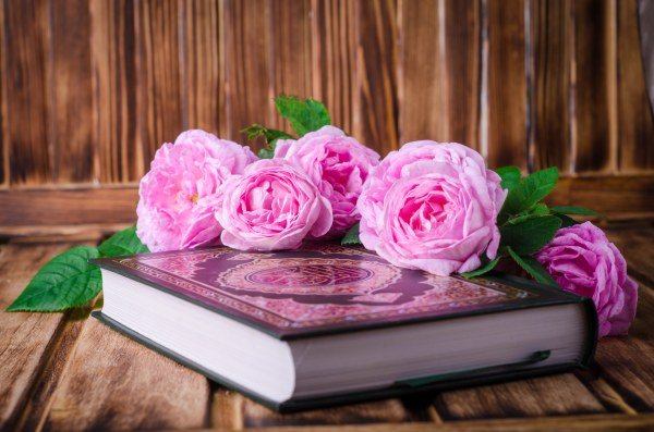  عکس قرآن با کیفیت برای پروفایل