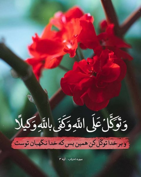  پروفایل قرآنی آرامش