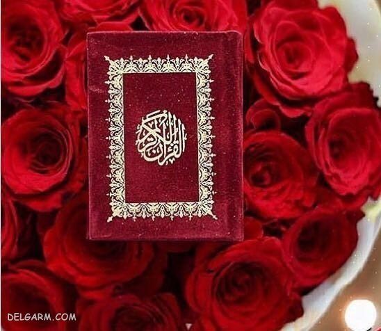  پروفایل عکس قران و گل