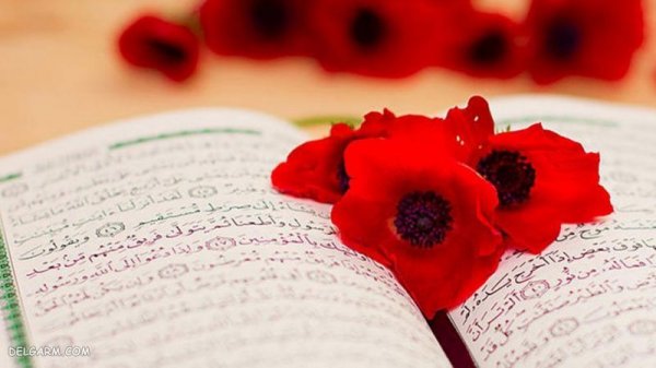  پروفایل عکس قران و گل