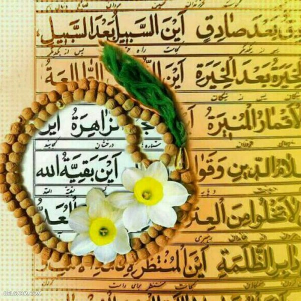  پروفایل عکس قران و گل