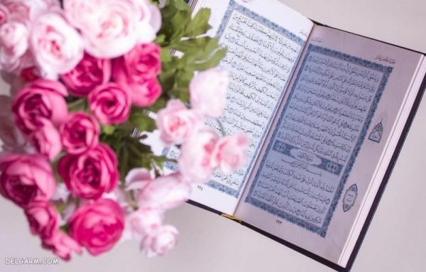 عکس زیبای گل و قرآن