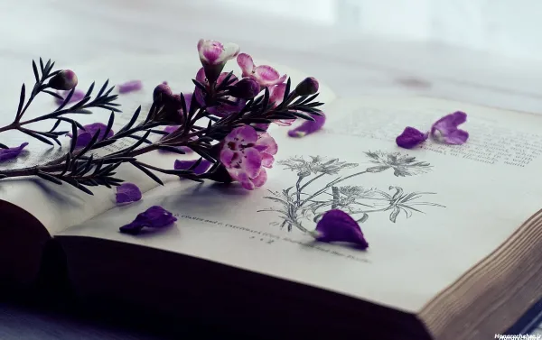  والپیپر گل و قرآن