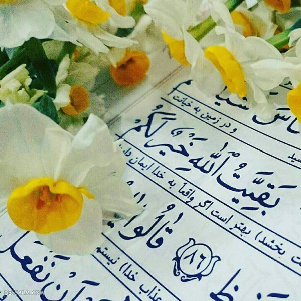  عکس قرآن و گل برای بک گراند کامپیوتر