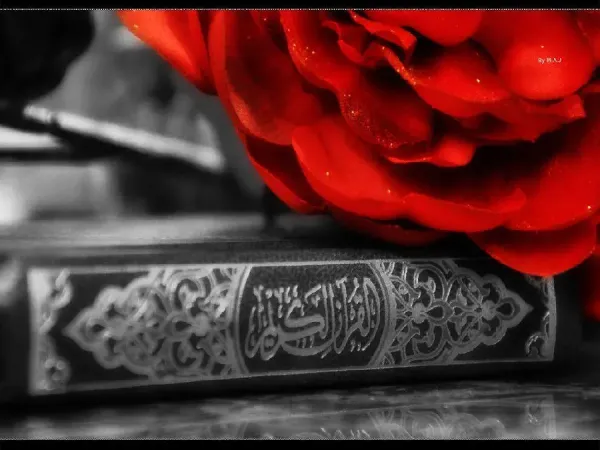  عکس قران اصلی