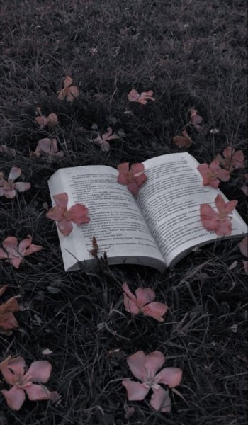  تصویر زمینه دخترانه انگیزشی