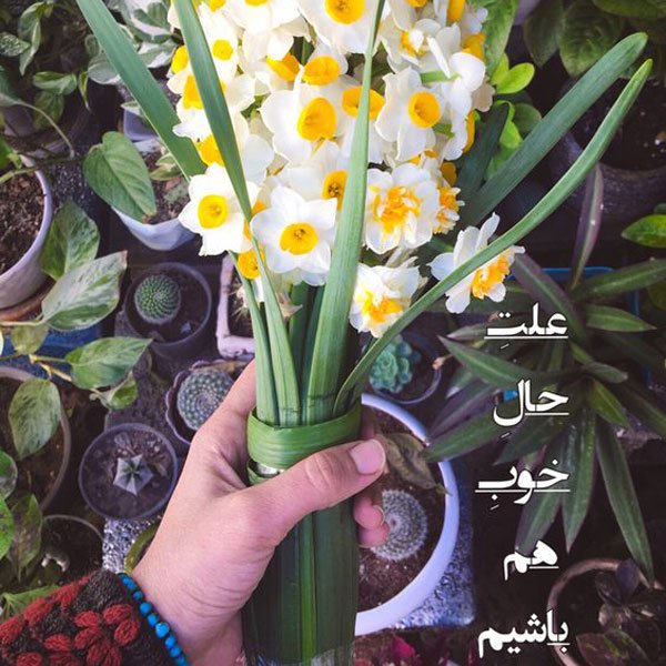  عکس نوشته انگیزشی با کیفیت