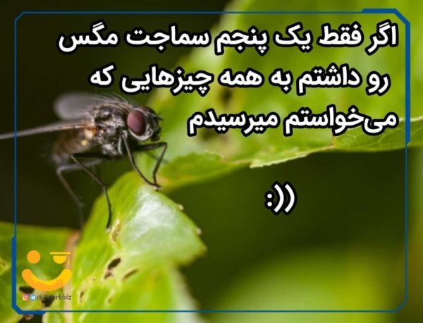  عکس انگیزشی کنکور تجربی
