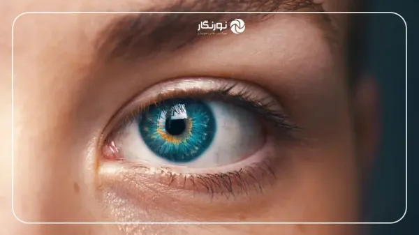 عکس چشم از نزدیک