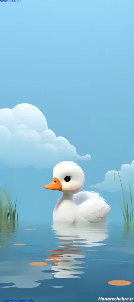  بک گراند طوسی کیوت