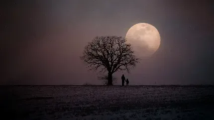  والپیپر هلال ماه زیبا HD