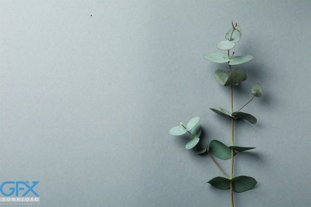  والپیپر مینیمال گل