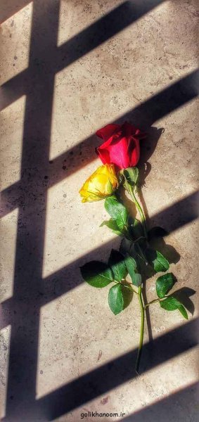  عکس منظره گل برای پروفایل