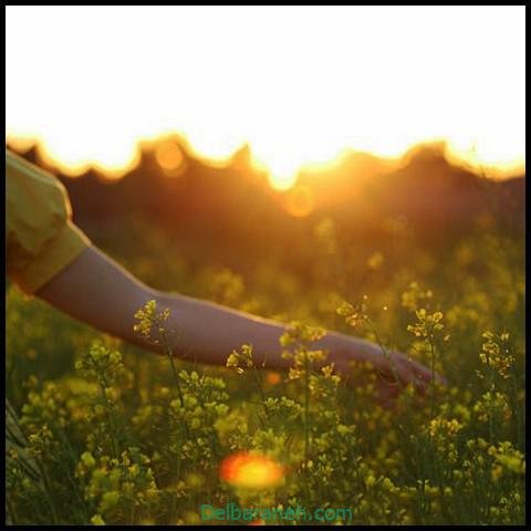 عکس دست برای پروفایل