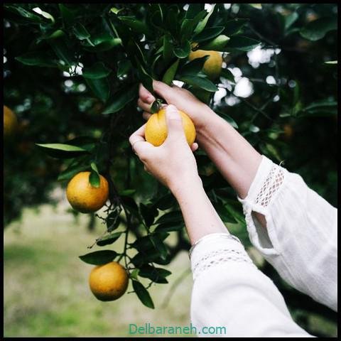 عکس دست برای پروفایل