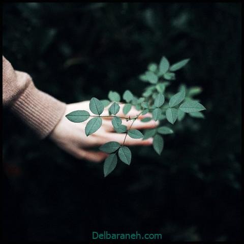 عکس دست برای پروفایل