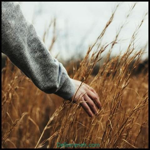 عکس دست برای پروفایل