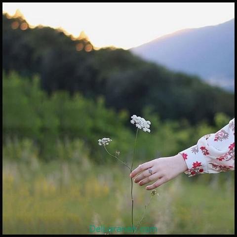 عکس دست برای پروفایل