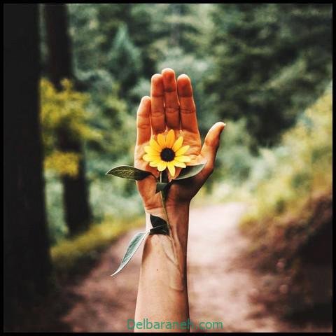 عکس دست برای پروفایل