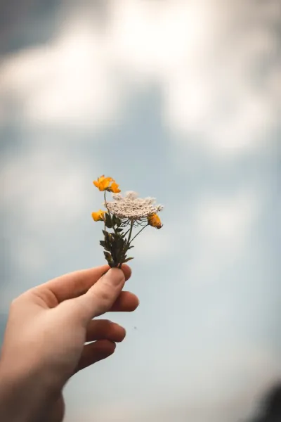 عکس دست دختر با گل برای پروفایل