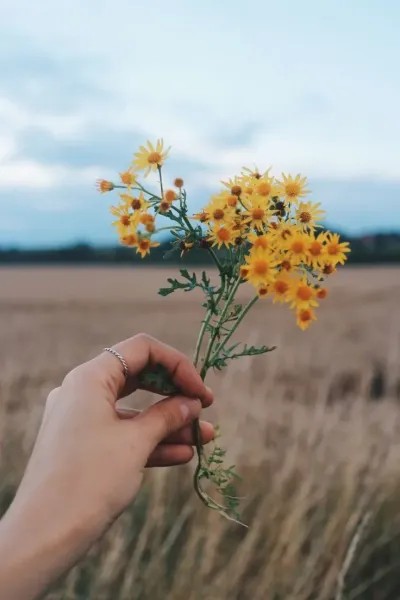 عکس دست دختر با گل برای پروفایل