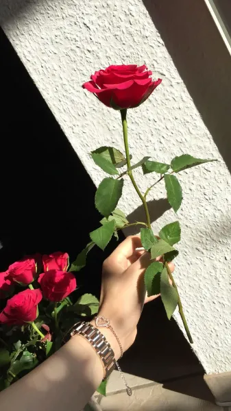 عکس دست دختر با گل برای پروفایل