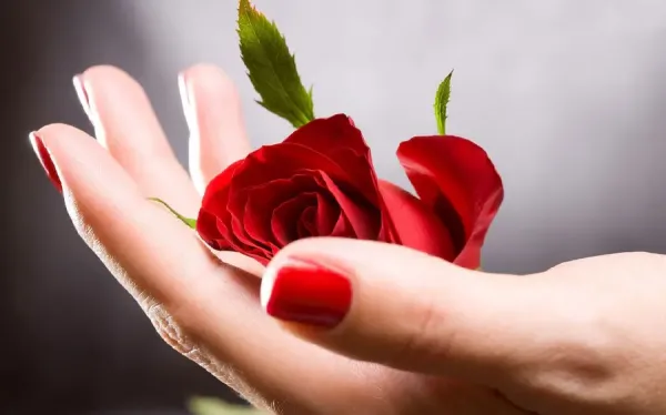 عکس دست دختر با گل برای پروفایل