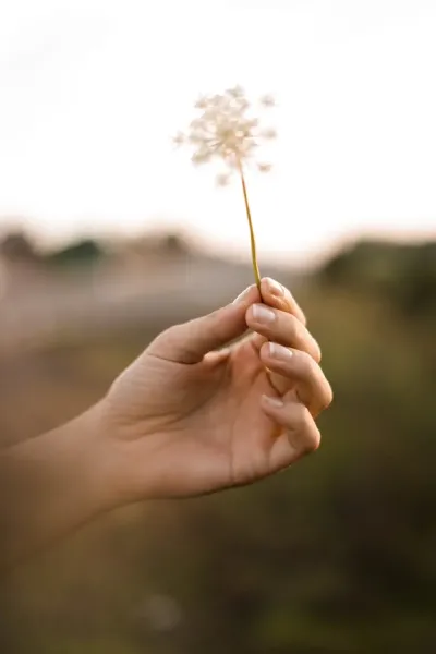 عکس دست دختر با گل برای پروفایل