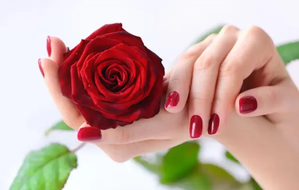 عکس دست دختر با گل برای پروفایل